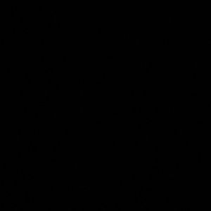 Meet your Posher, Jerika